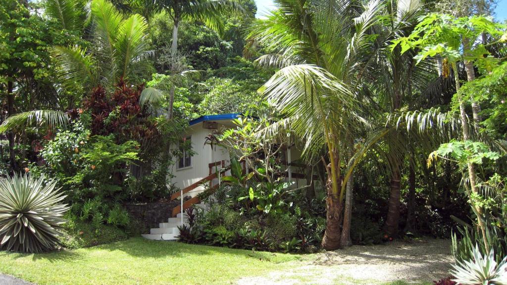 维拉港珊瑚礁汽车旅馆&公寓酒店的棕榈树花园中的房子