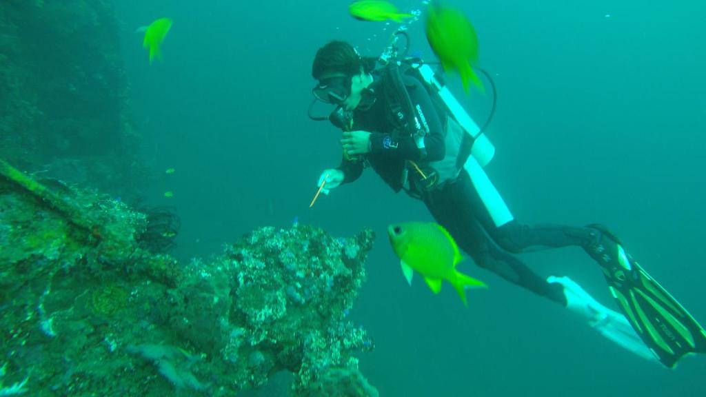 入住Ocean View Tulamben Dive &amp; Resort的客人