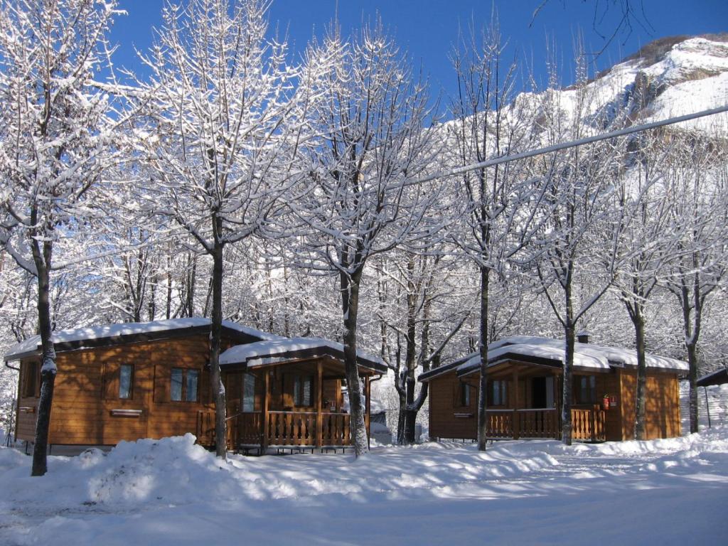 恩特拉奎Campeggio Valle Gesso的雪地里的小木屋,有雪覆盖的树木