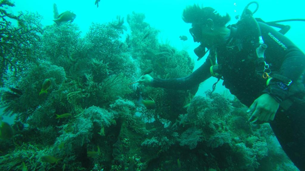 入住Ocean View Tulamben Dive &amp; Resort的客人