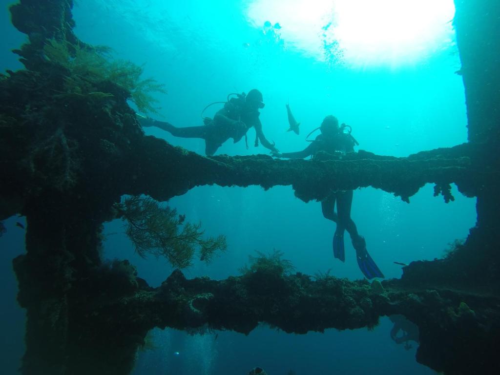 入住Ocean View Tulamben Dive &amp; Resort的客人