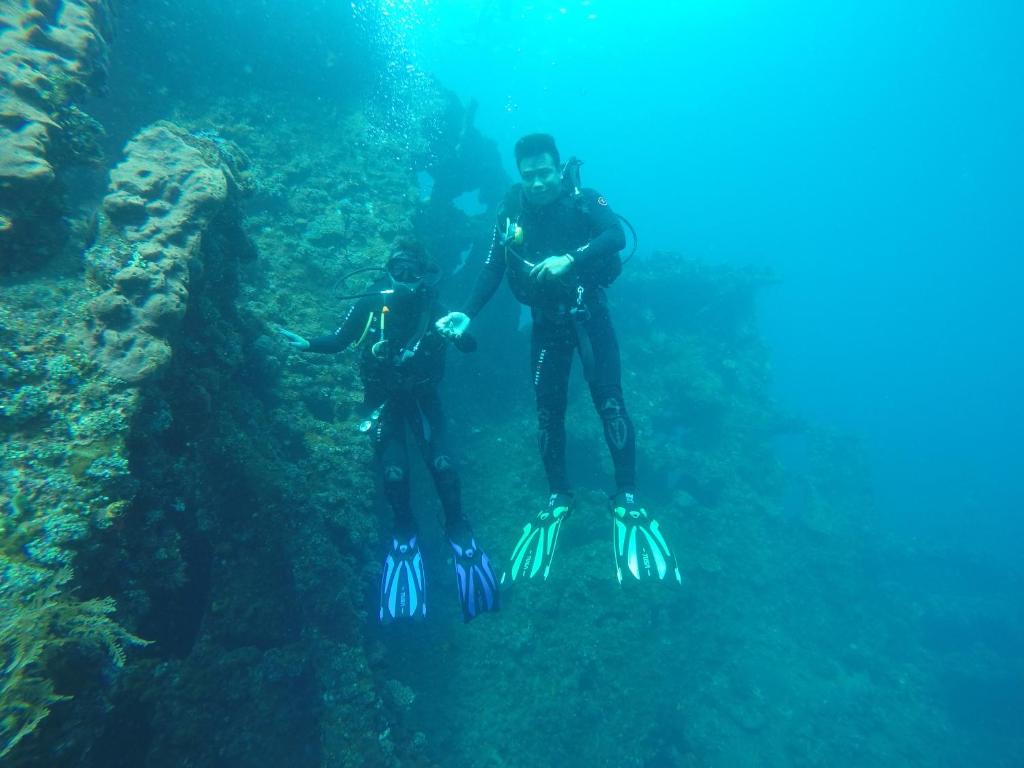 入住Ocean View Tulamben Dive &amp; Resort的客人