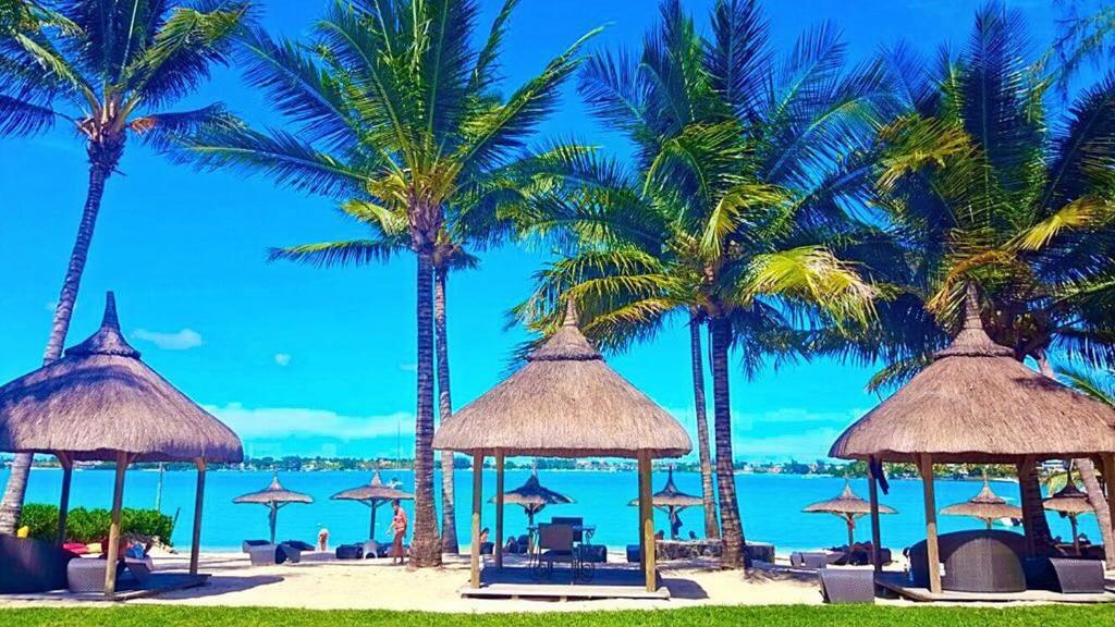 格兰贝伊Ocean Villas Apart Hotel的棕榈树、椅子和遮阳伞的海滩