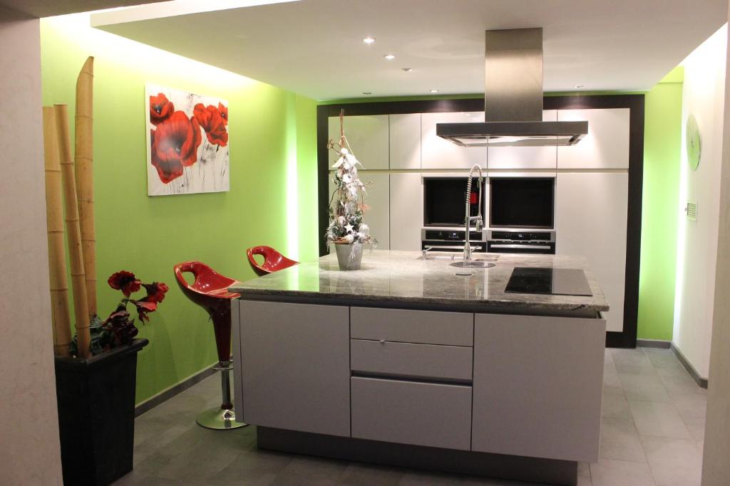 希伯维列Gite De La Route Du Vin的厨房设有绿色的墙壁和台面
