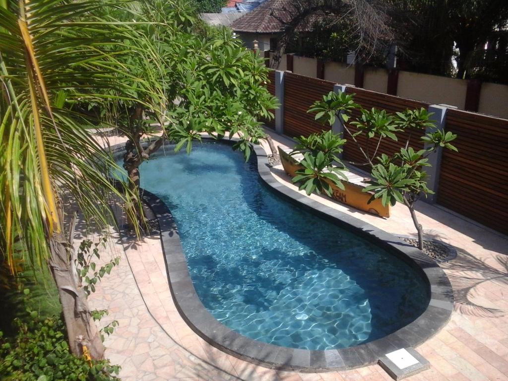 吉利特拉旺安Coconut Dream的后院的棕榈树游泳池