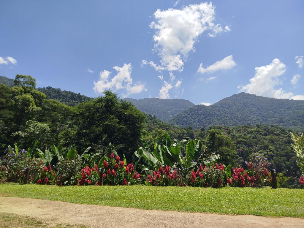 山景或在山林小屋看到的山景