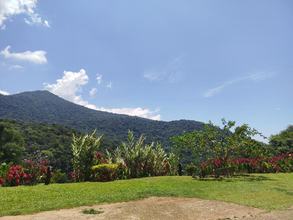 帕拉蒂Chalés Vale dos Pássaros Refúgio nas montanhas的山地草场