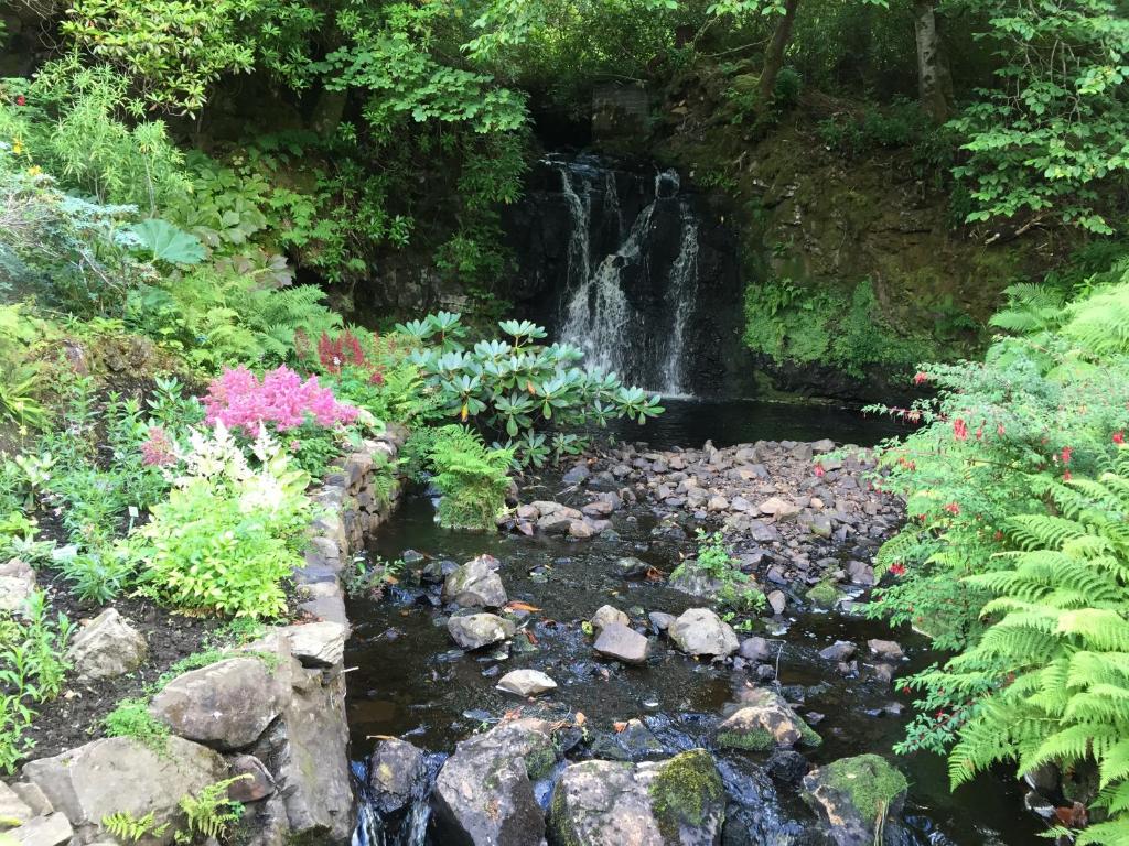 Kingsburgh科兰住宿加早餐旅馆的花园内瀑布,花园内种有岩石和花卉