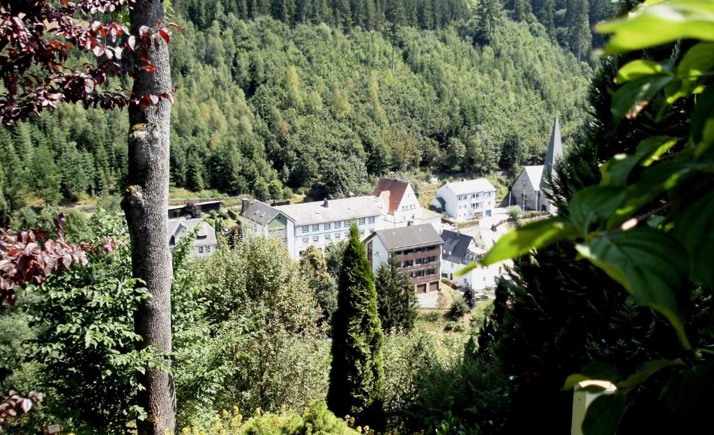 Schwarzenbach am Wald盖斯夫润达塔卡塔琳娜酒店的山中的一个小镇,有房子和树木