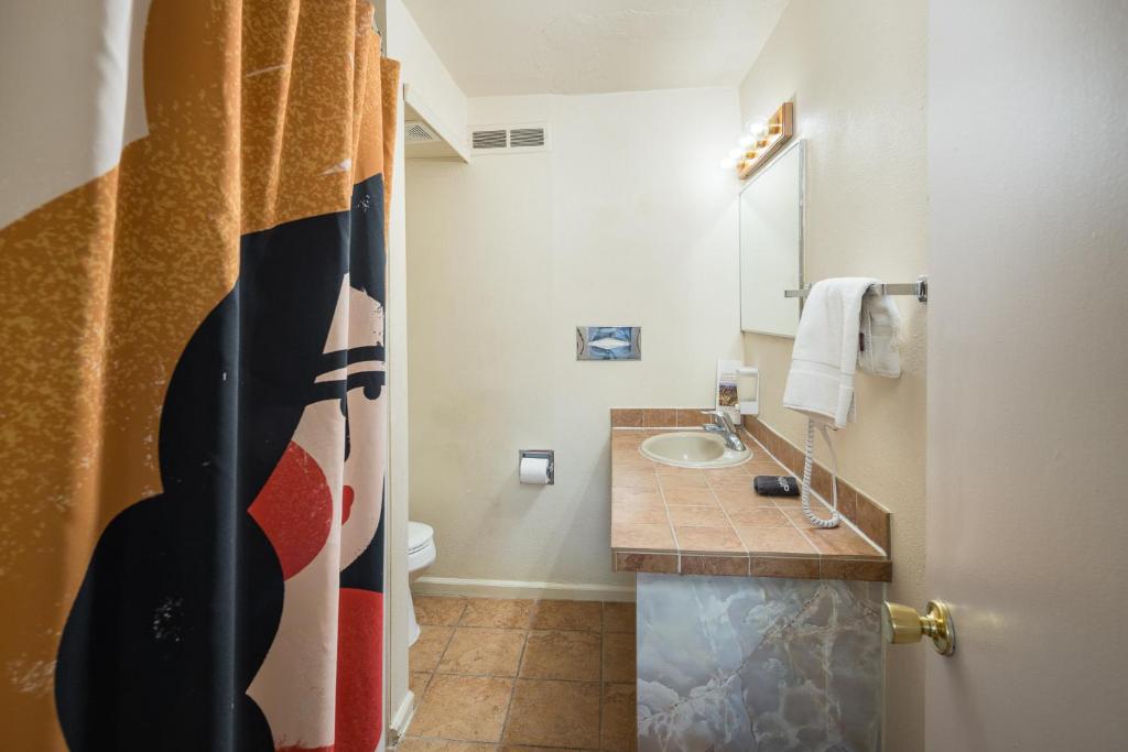 Apache Motel的一间浴室