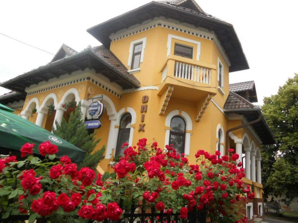 弗格拉什Pensiunea Onix的前面有红色花的黄色房子