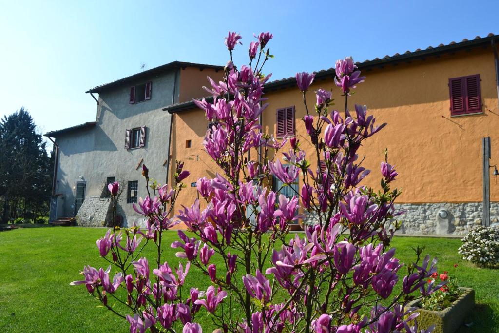 里尼亚诺苏拉尔诺拉奎塞度假酒店 的一座建筑前的一大束紫色花