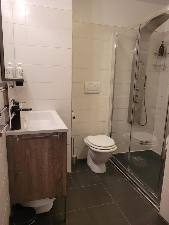 Cham&#39;Heart, 4-star apartments in Chamonix centre with free private parking的一间浴室