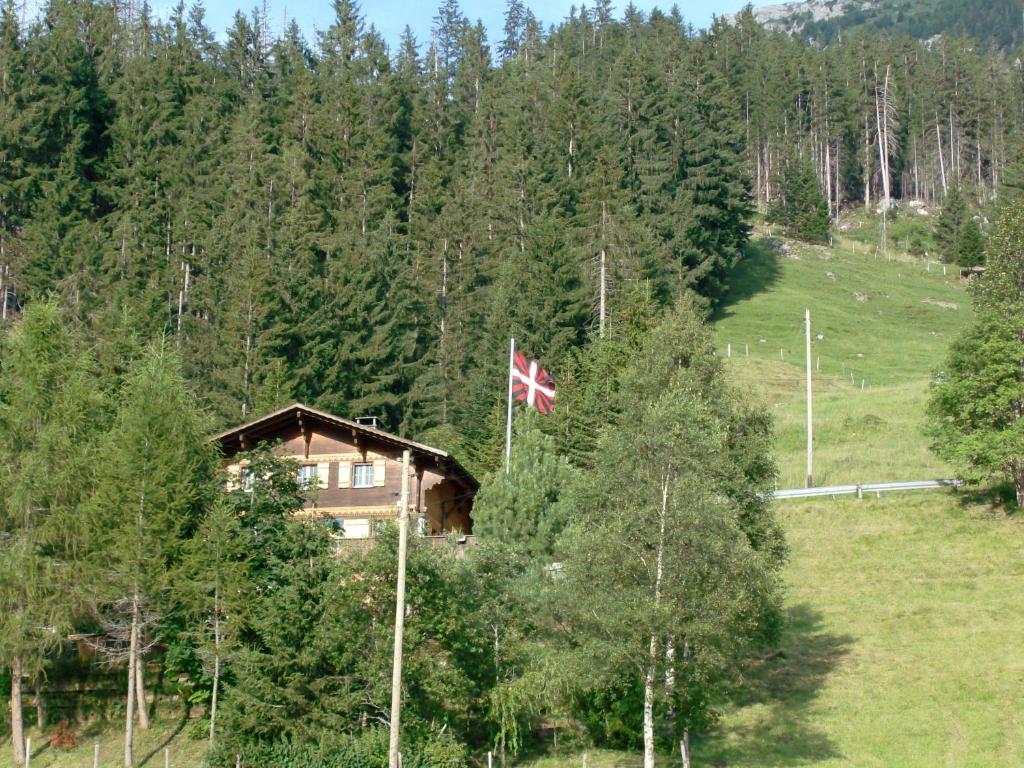 Achseten维德利木屋酒店的山丘上的房子,有吊旗