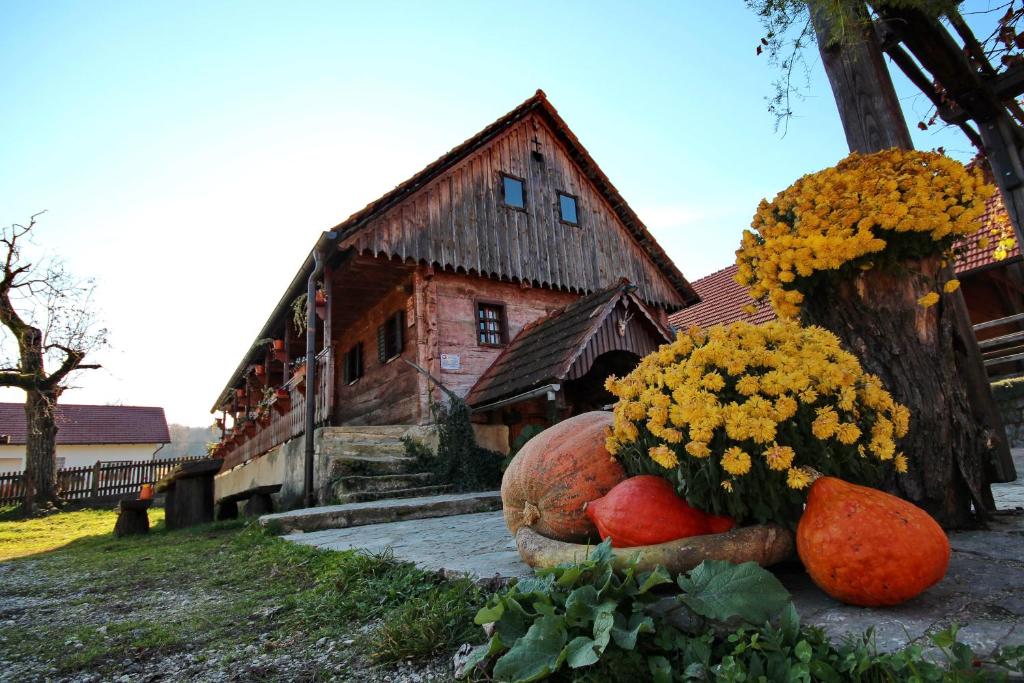 Krška Vas马丁观光农庄农家乐的相册照片