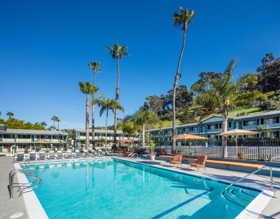 圣地亚哥圣地亚哥阿特伍德汽车旅馆 - 海洋世界/动物园的一个带椅子和棕榈树的大型游泳池