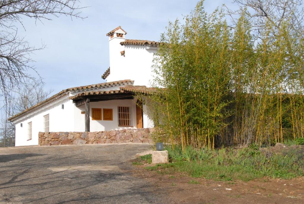 阿拉色那Finca Horno de Cal的前面有一棵树的白色房子