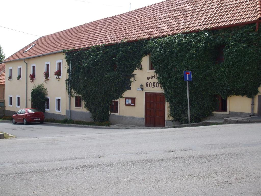 沙罗什保陶克Retel Vitez Vendégház的一座常春藤生长在它的一侧的建筑