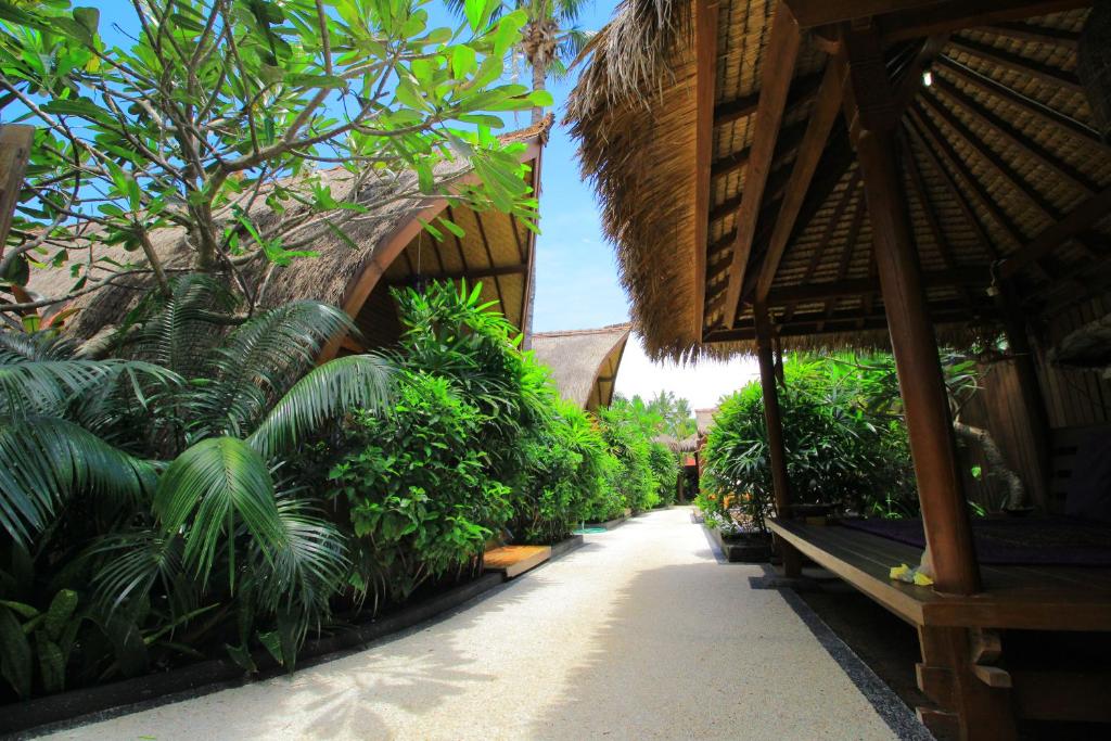 吉利特拉旺安珊瑚海岸酒店的穿过树木和植物的度假胜地的路径