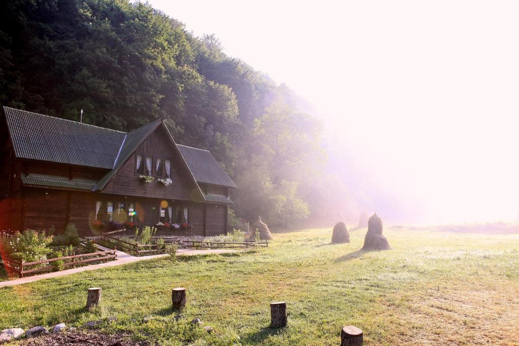 BoşorodPensiunea Dacica的森林旁田野中间的房屋