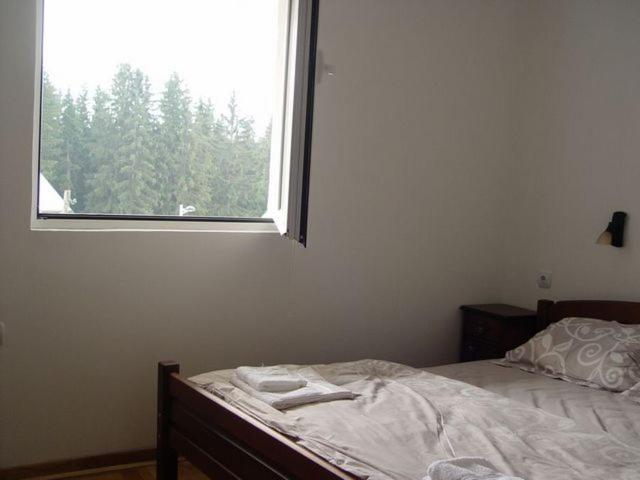 Apartments Durmitorska Vila客房内的一张或多张床位