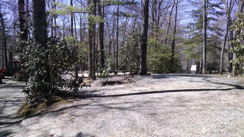 Linville FallsLinville Falls Campground, RV Park, and Cabins的林中一条土路