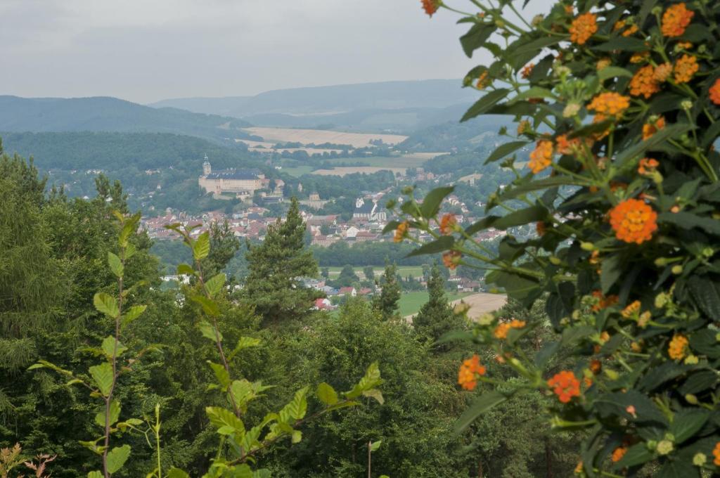 鲁多尔施塔特爱特姆全景酒店及餐厅 的从种有橙花的山丘上可欣赏到城镇景色