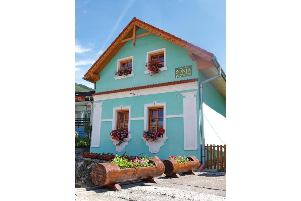 卢奇基Chalupa Sonja的蓝色的房子,上面有盆栽植物