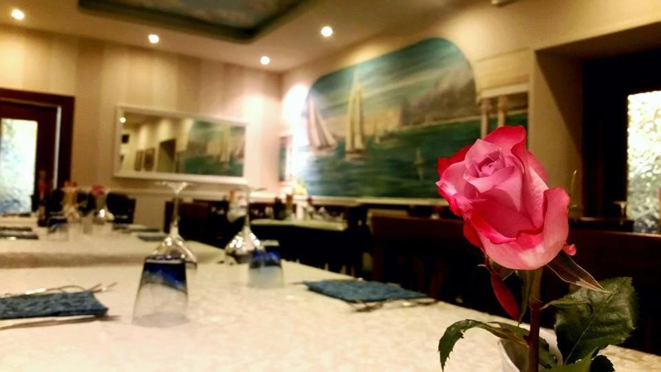 加尔尼亚诺奥马里纳欧住宿加早餐旅馆的一张桌子上坐着的粉红色玫瑰