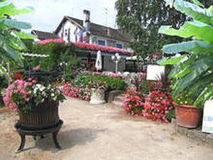 朱霍尔茨玫瑰花园比伯勒酒店的花园中心,花朵和院子内的长凳