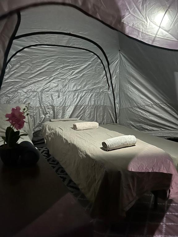 Toys suites hotel客房内的一张或多张床位