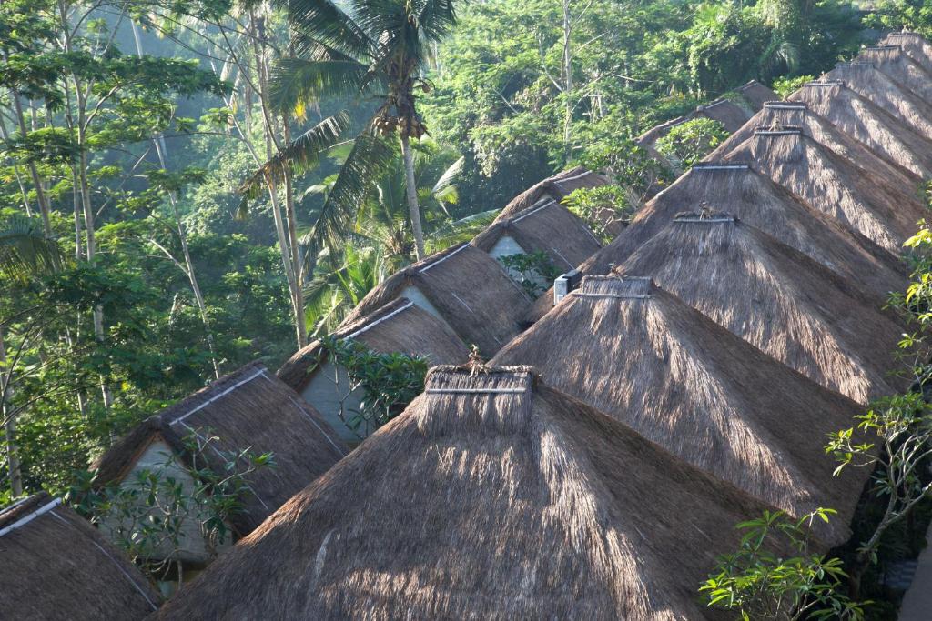 乌布Tejaprana Resort & Spa的一组有树的屋顶