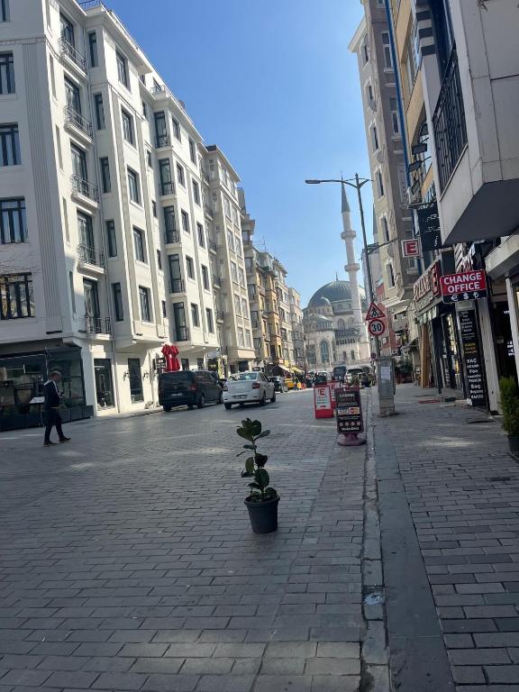 伊斯坦布尔Murat bey konağı的一条城市街道,有高大的建筑和种有植物的路边
