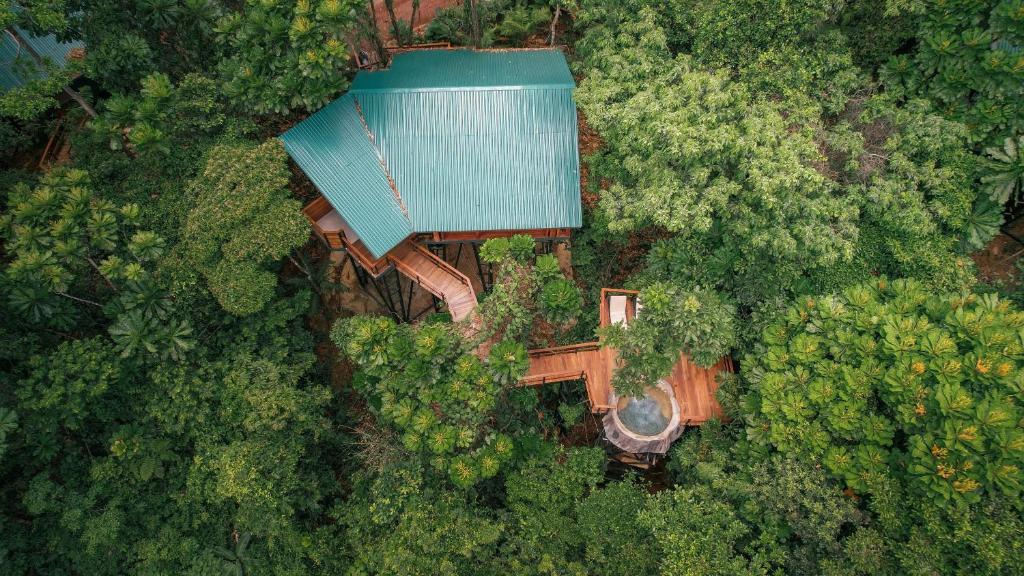 福尔图纳Chachagua Rainforest Hotel &amp; Hot Springs的森林中房屋的顶部景观
