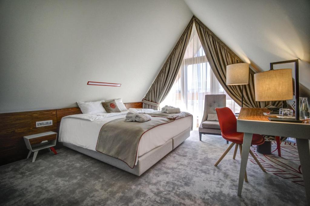 穆扎希赫尔Hotel Kopieniec Fizjo- Med & SPA的酒店客房配有一张床、一张书桌和一张书桌。