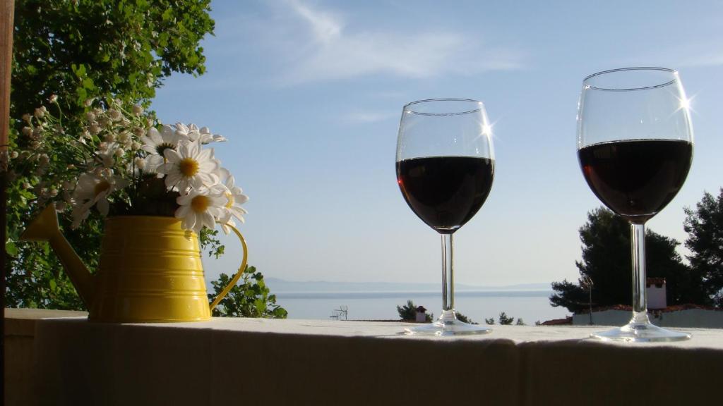 克里皮吉Paradise的两杯红葡萄酒,放在桌子上,花瓶