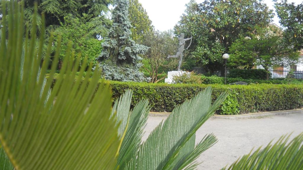 卡西诺戴安娜酒店的公园里绿树成荫的树 ⁇ 
