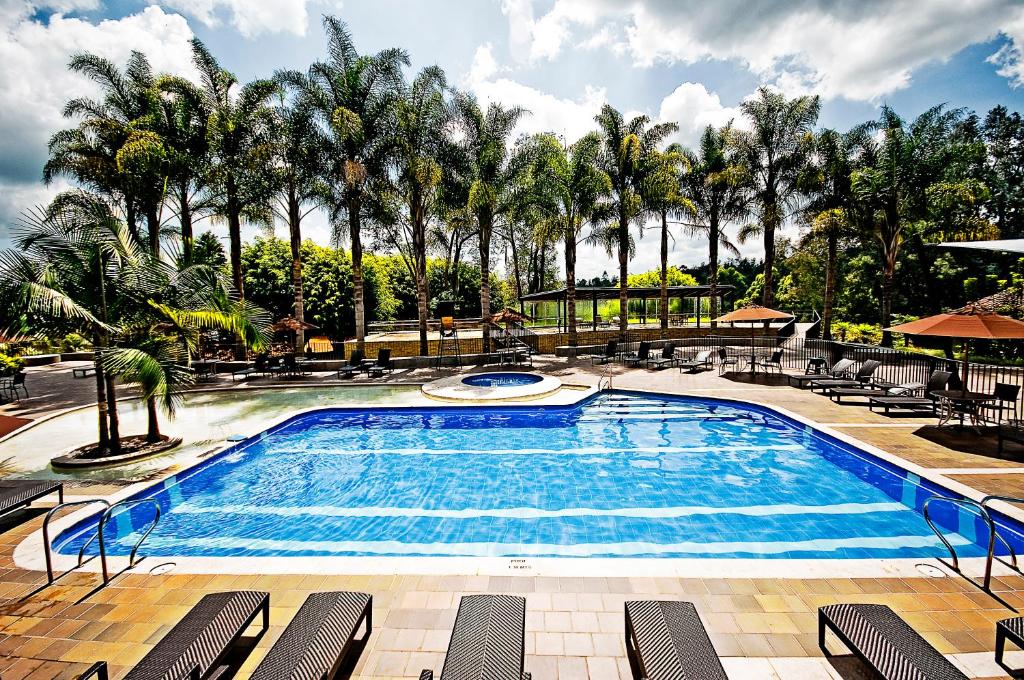 里奥内格罗拉斯洛马斯莫维奇酒店的一个带椅子和棕榈树的大型游泳池