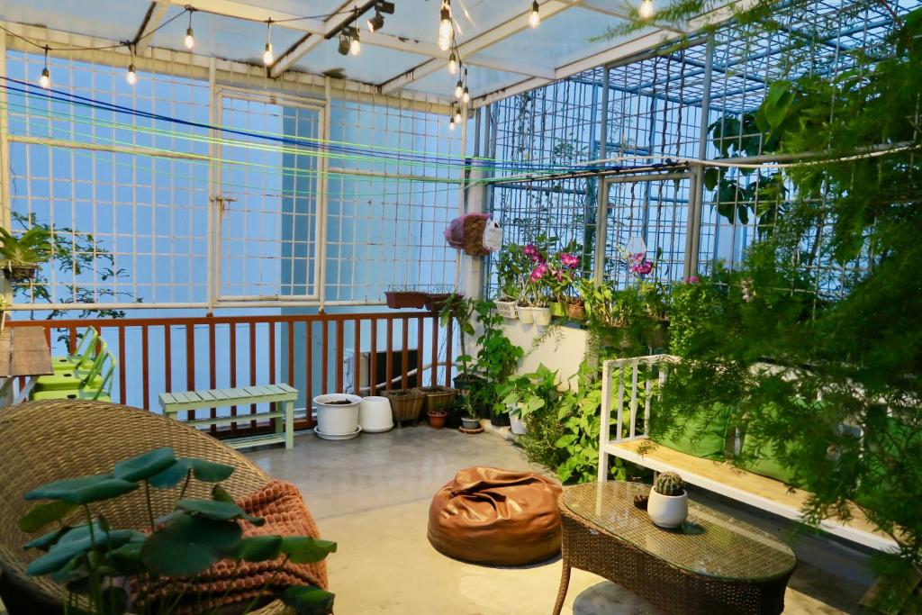 Les Fleurs Bangkok Hostel外面的花园