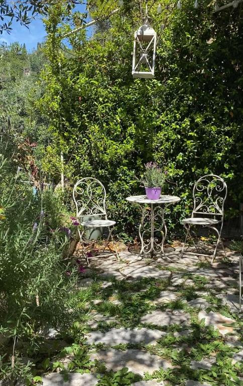 SpartýlasLorantina Luxury Sea View Holiday House close to Barbati &amp; Ipsos Beach with Starlink WiFi的花园里的两把椅子和一张桌子