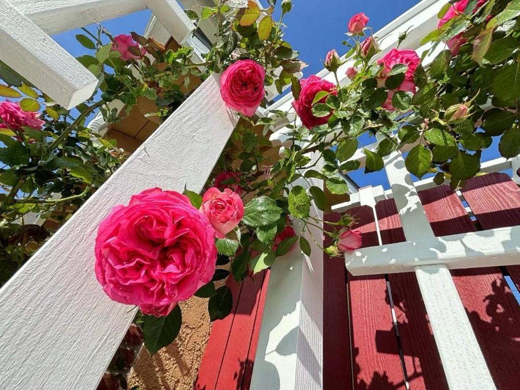 In a quiet neighborhood near the Main Street-Room C外面的花园