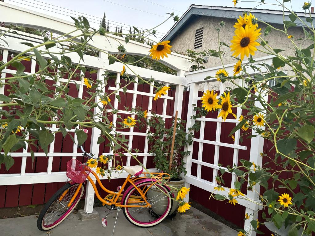 在In a quiet neighborhood near the Main Street-Room C内部或周边骑自行车