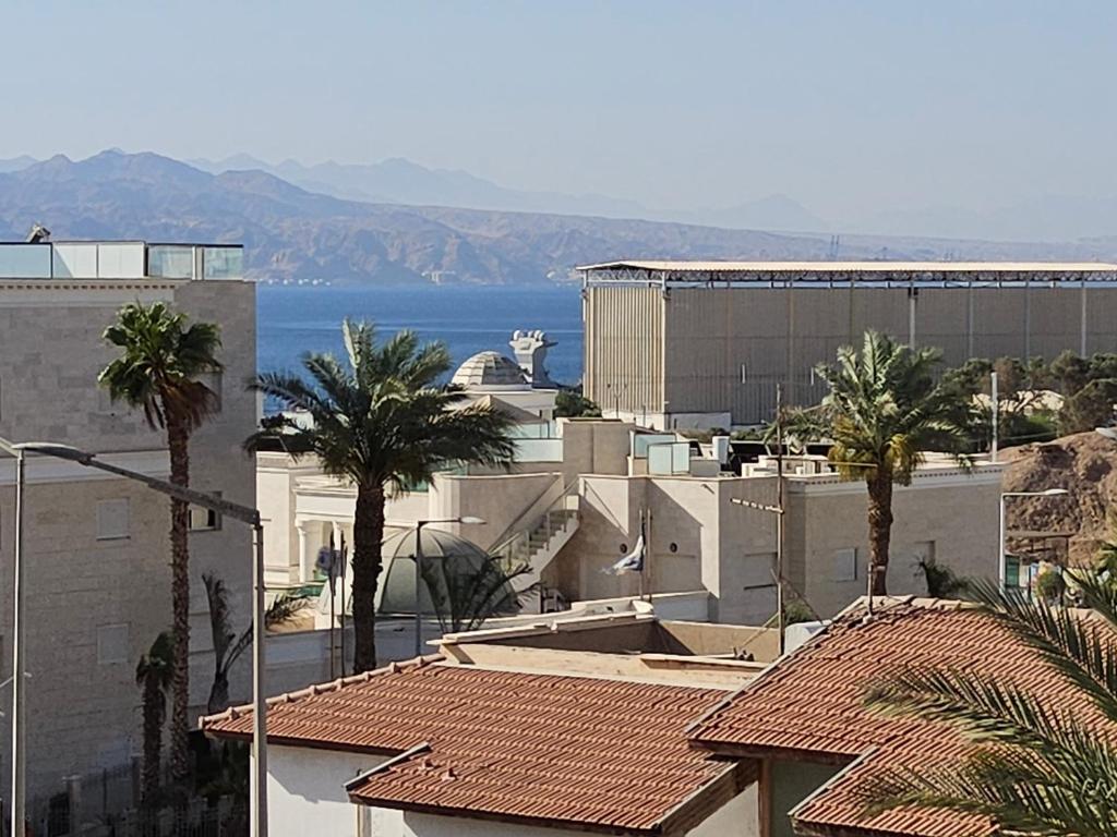 埃拉特shohamseaview的享有拥有建筑和棕榈树的城市美景