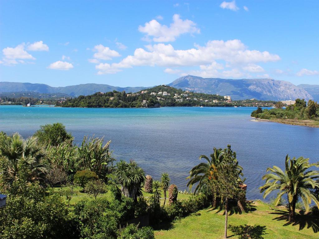 康托卡利Kontokali Lake House的棕榈树的一大片水景