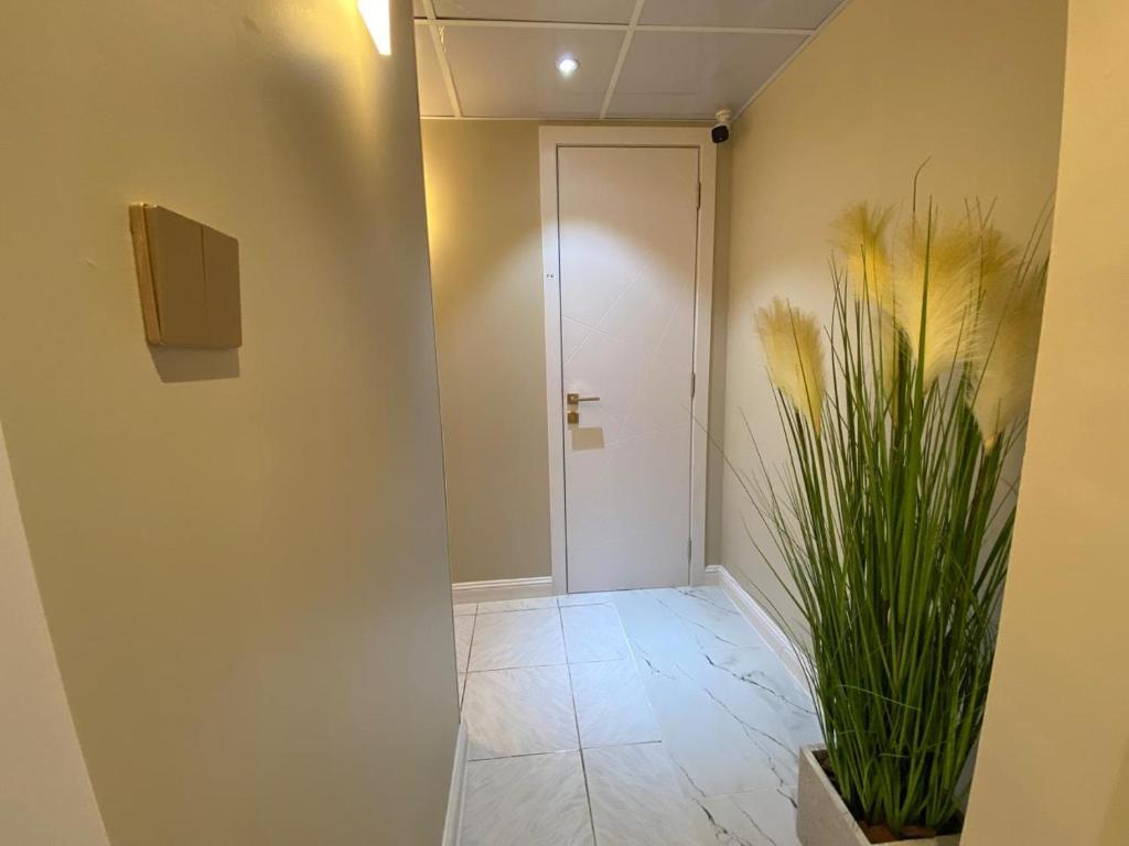 迪拜Garden Residence的走廊上有一扇门和一棵植物
