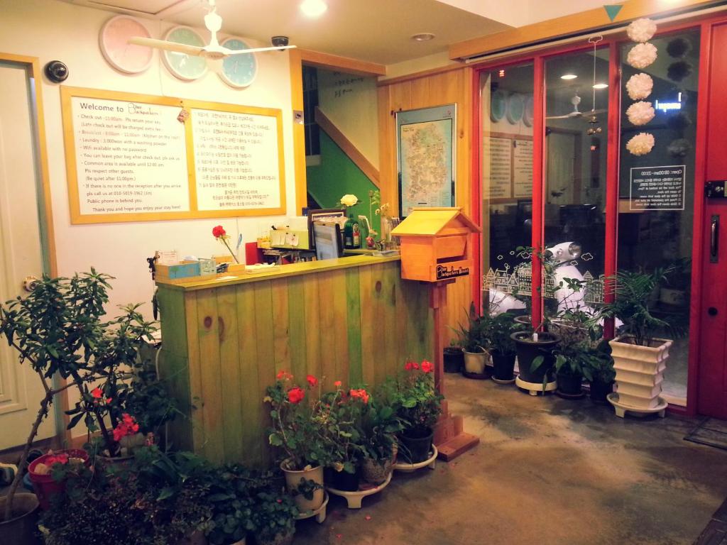 釜山蓝色背包客旅馆的花店,种植盆栽植物,柜台