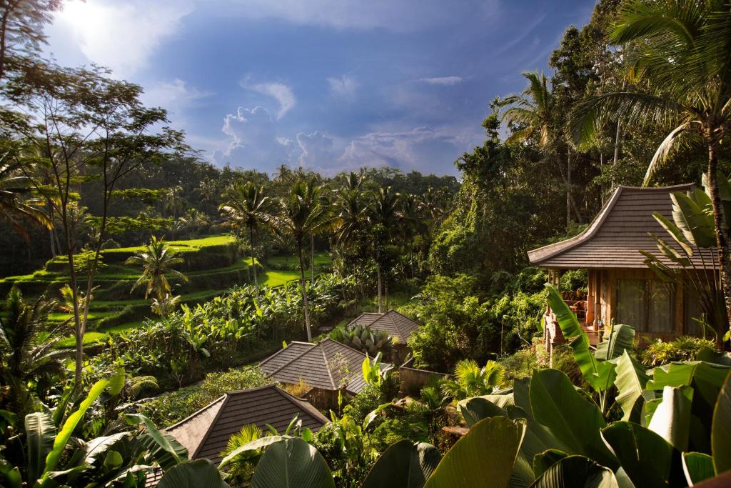 德格拉朗彭杜克塞巴图别墅酒店的丛林中度假村的景色