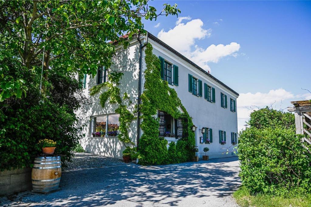 多瑙河畔克雷姆斯Gasthof Leindl的一座白色的建筑,上面有绿色常春藤
