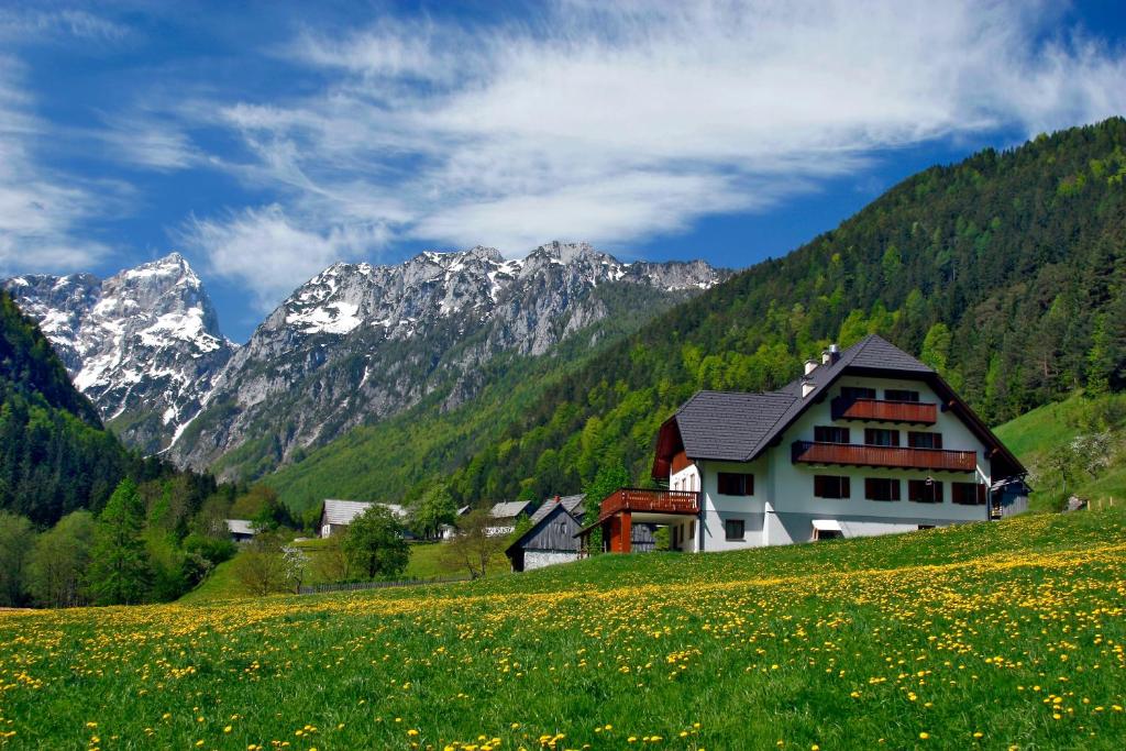 索尔察瓦Govc-Vršnik的山丘上以山为背景的房子