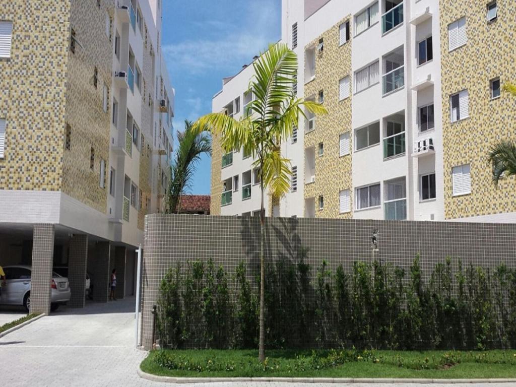 乌巴图巴Apartamento Avenida Wilson的建筑前方砖墙前的棕榈树